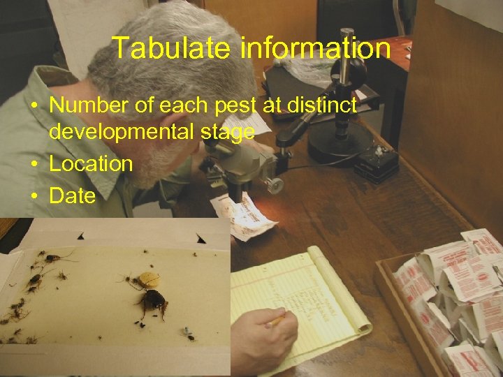 Tabulate information • Number of each pest at distinct developmental stage • Location •