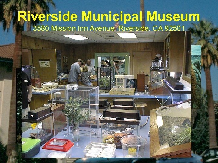 Riverside Municipal Museum 3580 Mission Inn Avenue Riverside, CA 92501 