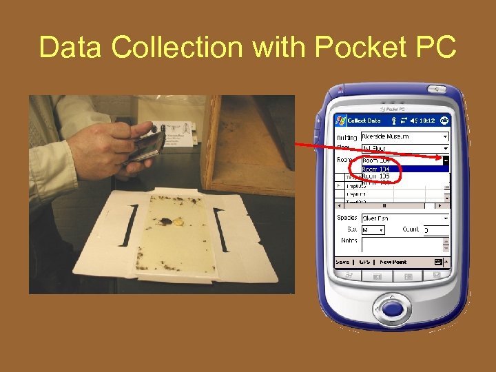 Data Collection with Pocket PC • Each Variable has a drop down list 