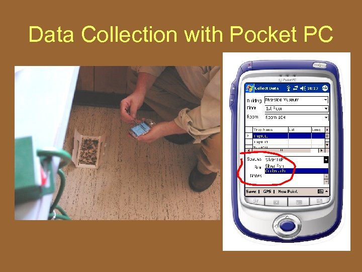 Data Collection with Pocket PC • Enter species information – Species ID – Number