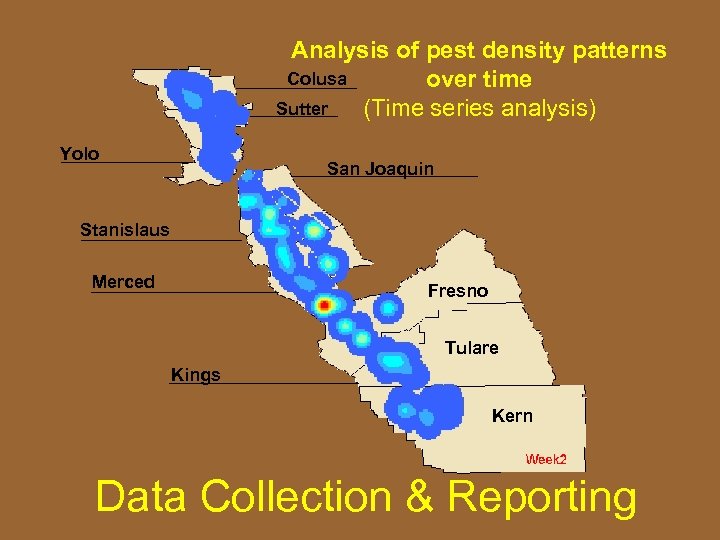 Analysis of pest density patterns Colusa over time Sutter (Time series analysis) Yolo San