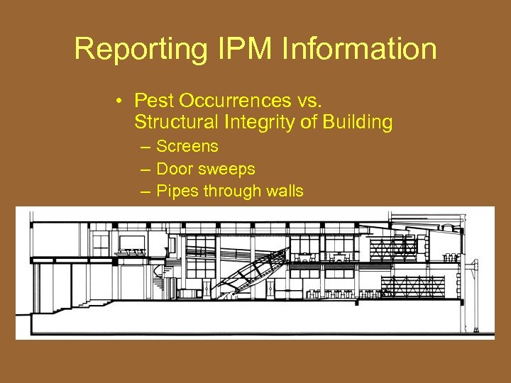 Reporting IPM Information • Pest Occurrences vs. Structural Integrity of Building – Screens –