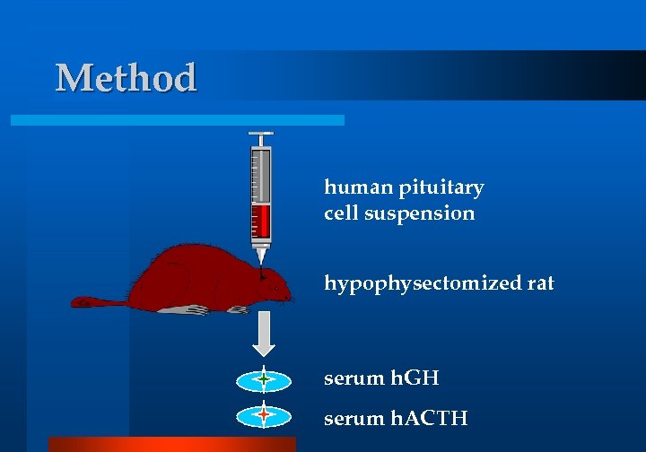 Method human pituitary cell suspension hypophysectomized rat serum h. GH serum h. ACTH 