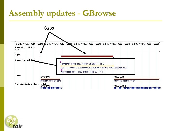 Assembly updates - GBrowse Gaps 