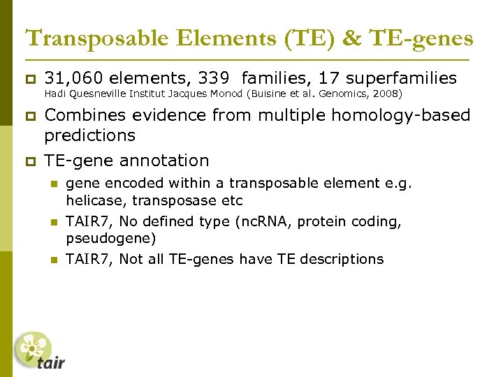 Transposable Elements (TE) & TE-genes 31, 060 elements, 339 families, 17 superfamilies Hadi Quesneville