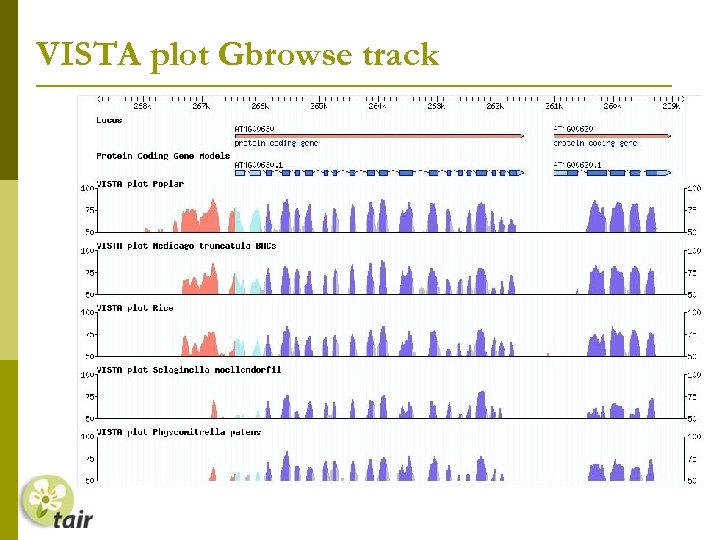 VISTA plot Gbrowse track 