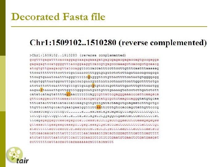 Decorated Fasta file 