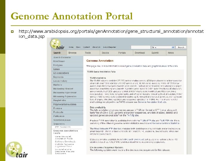 Genome Annotation Portal http: //www. arabidopsis. org/portals/gen. Annotation/gene_structural_annotation/annotat ion_data. jsp 