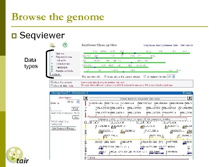 Browse the genome Seqviewer Data types 