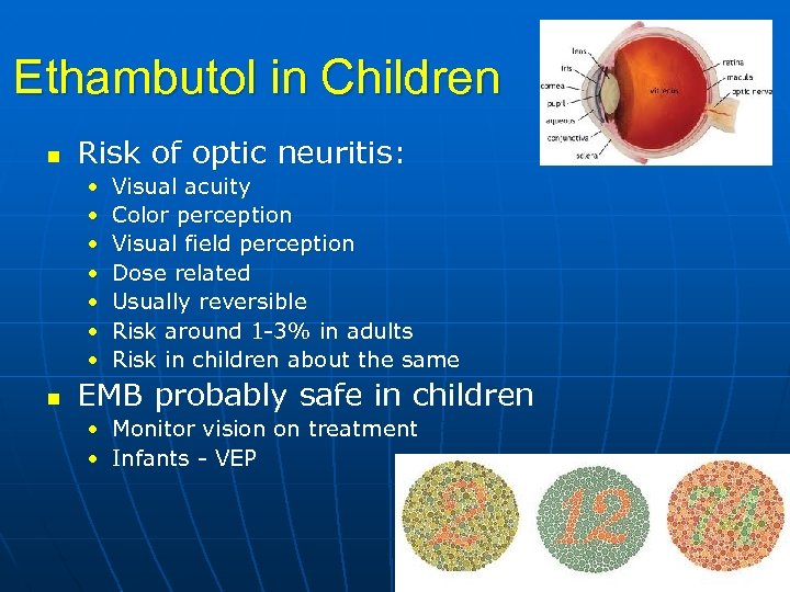 Ethambutol in Children n Risk of optic neuritis: • • n Visual acuity Color