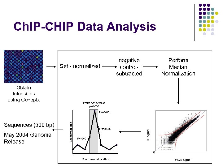 Ch. IP-CHIP Data Analysis Set - normalized Obtain Intensities using Genepix negative controlsubtracted Perform