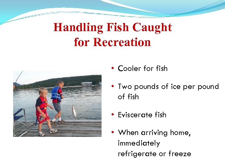 Handling Fish Caught for Recreation • Cooler for fish • Two pounds of ice