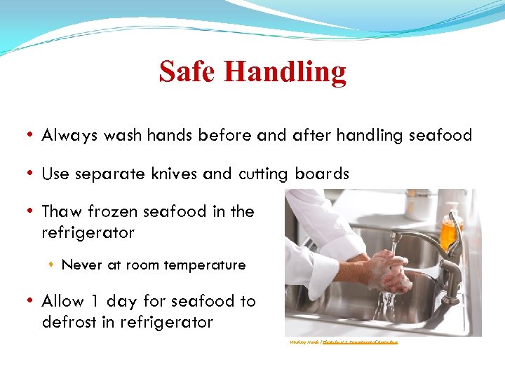 Safe Handling • Always wash hands before and after handling seafood • Use separate