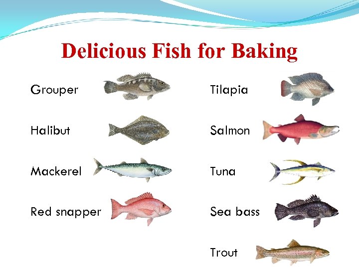 Delicious Fish for Baking Grouper Tilapia Halibut Salmon Mackerel Tuna Red snapper Sea bass