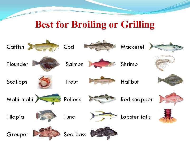 Best for Broiling or Grilling Catfish Cod Mackerel Flounder Salmon Shrimp Scallops Trout Halibut