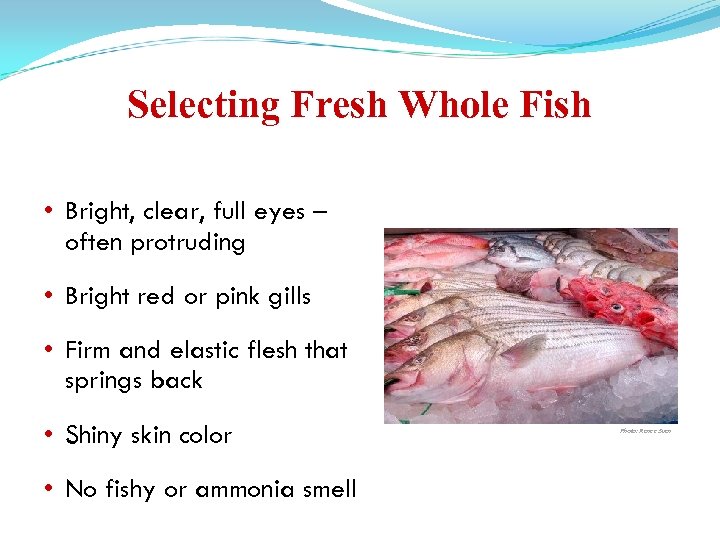 Selecting Fresh Whole Fish • Bright, clear, full eyes – often protruding • Bright