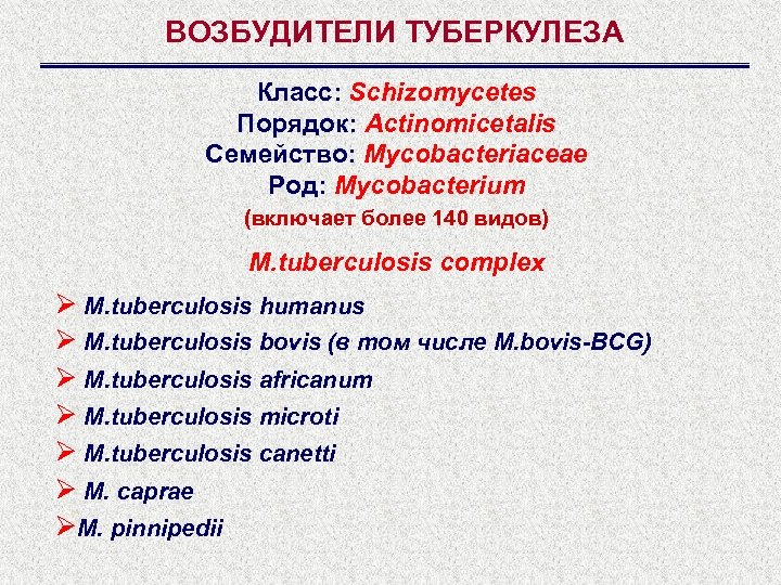 ВОЗБУДИТЕЛИ ТУБЕРКУЛЕЗА Класс: Schizomycetes Порядок: Actinomicetalis Семейство: Mycobacteriaceae Род: Mycobacterium (включает более 140 видов)