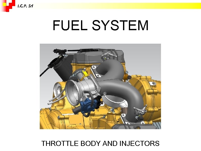 I. C. P. Srl FUEL SYSTEM THROTTLE BODY AND INJECTORS 