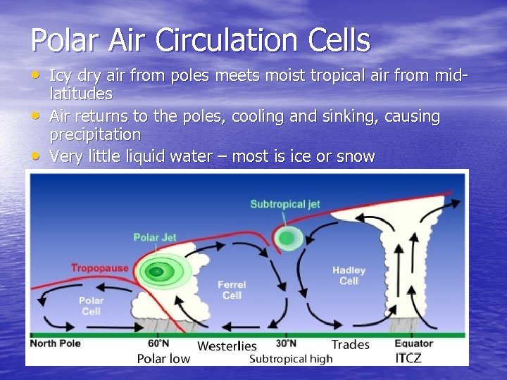 Polar Air Circulation Cells • Icy dry air from poles meets moist tropical air