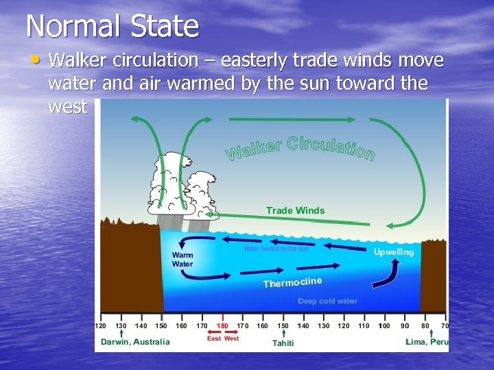 Normal State • Walker circulation – easterly trade winds move water and air warmed