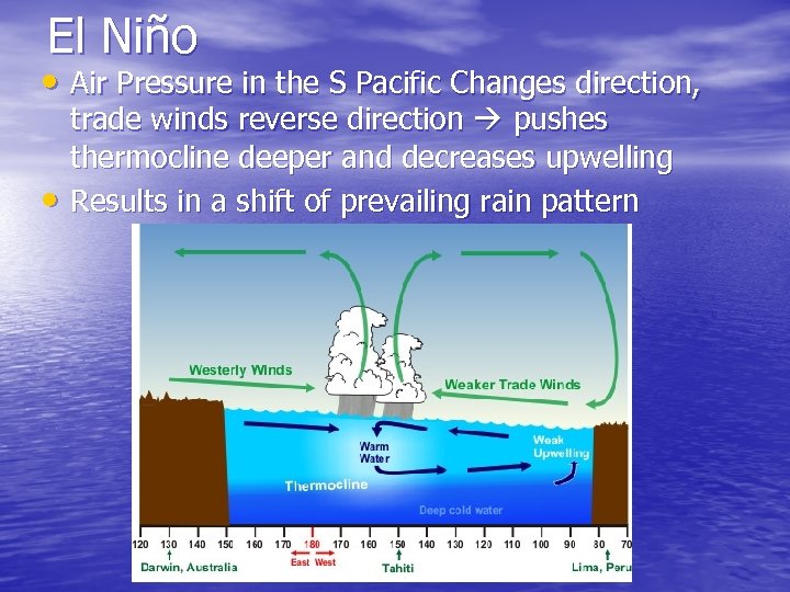 El Niño • Air Pressure in the S Pacific Changes direction, • trade winds