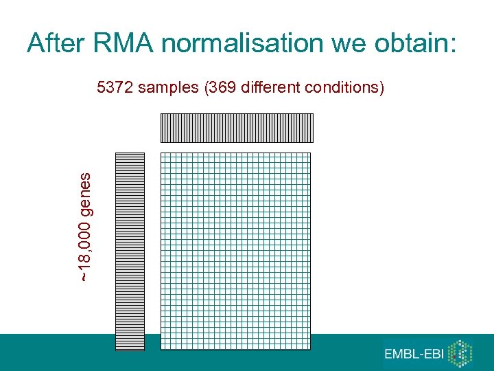 After RMA normalisation we obtain: ~18, 000 genes 5372 samples (369 different conditions) 