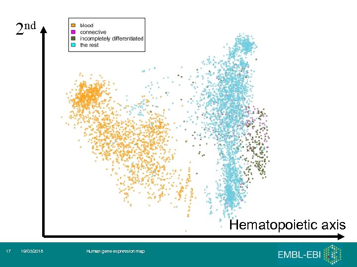 2 nd Hematopoietic axis 17 19/03/2018 Human gene expression map 