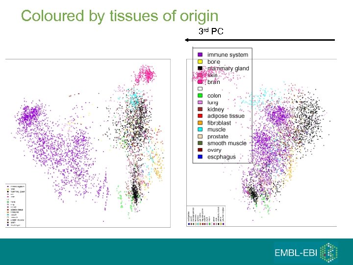 Coloured by tissues of origin 3 rd PC 