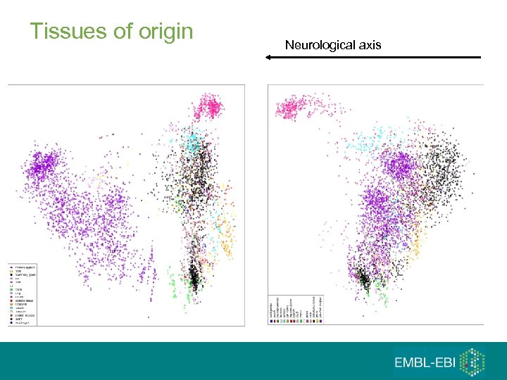 Tissues of origin Neurological axis 