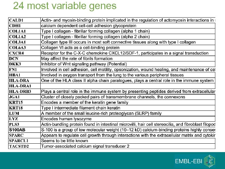 24 most variable genes 