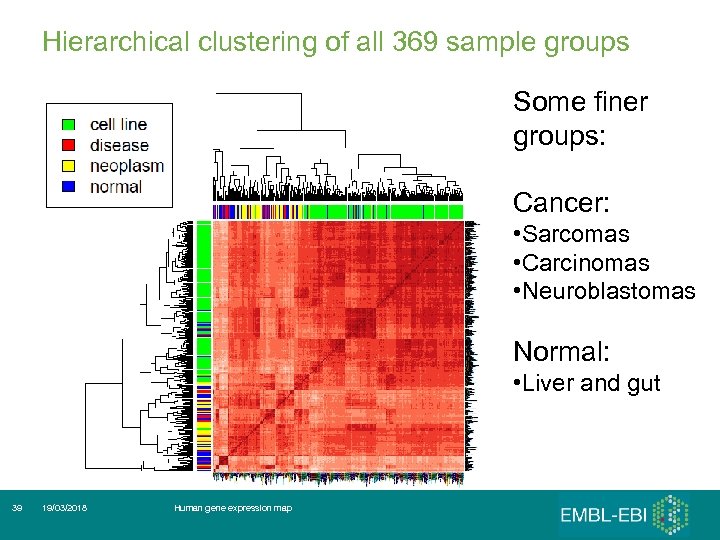 Hierarchical clustering of all 369 sample groups Some finer groups: Cancer: • Sarcomas •