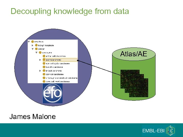 Decoupling knowledge from data Atlas/AE James Malone 