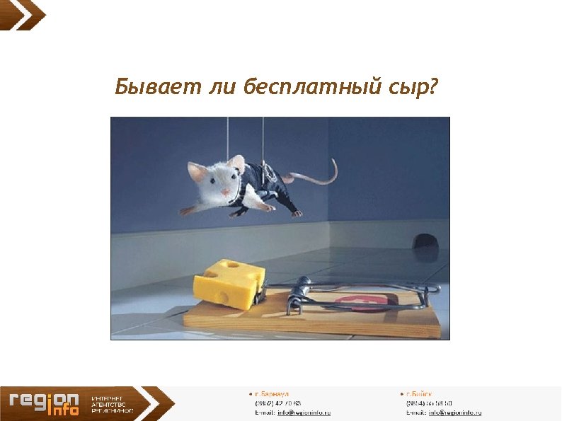 Бывает ли бесплатный сыр? 