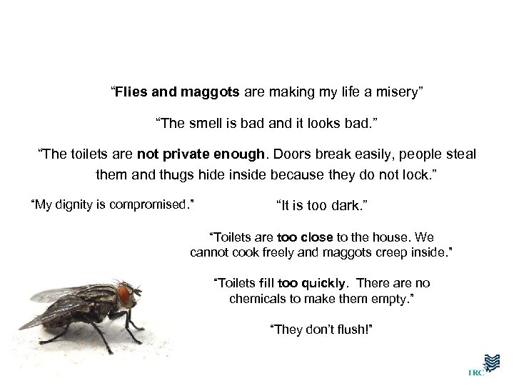“Flies and maggots are making my life a misery” “The smell is bad and