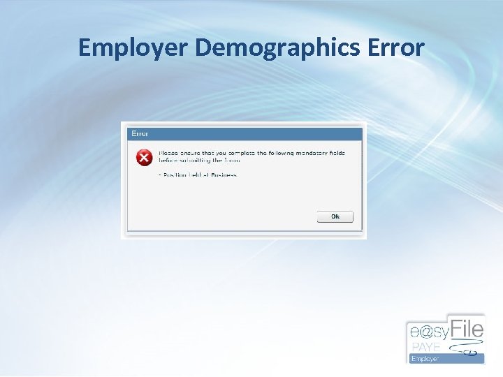Employer Demographics Error 