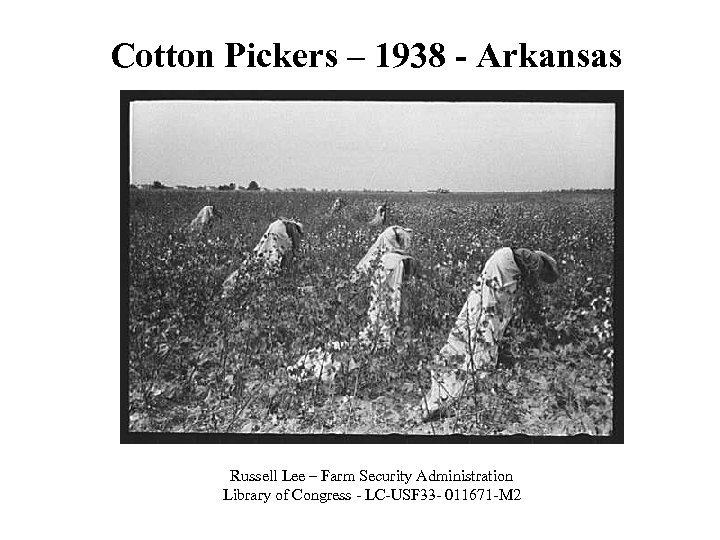 Cotton Pickers – 1938 - Arkansas Russell Lee – Farm Security Administration Library of