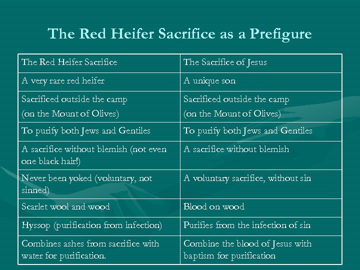 The Red Heifer Sacrifice as a Prefigure The Red Heifer Sacrifice The Sacrifice of