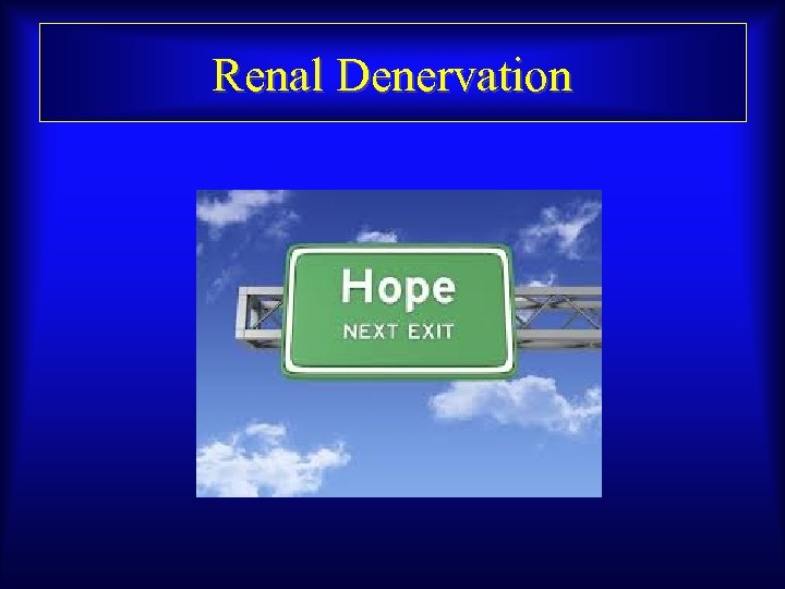 Renal Denervation 