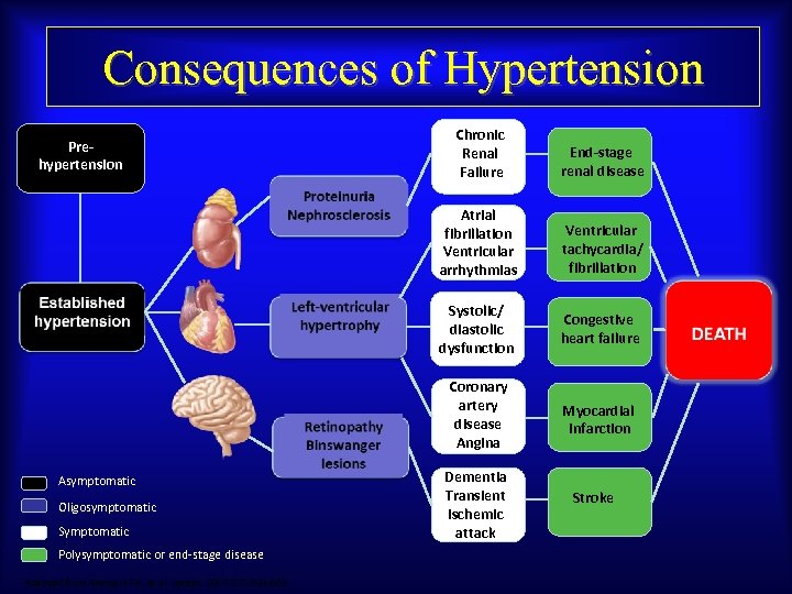 Consequences of Hypertension Symptomatic Polysymptomatic or end-stage disease Adapted from Messerli FH, et al.