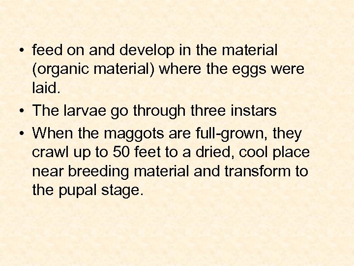  • feed on and develop in the material (organic material) where the eggs