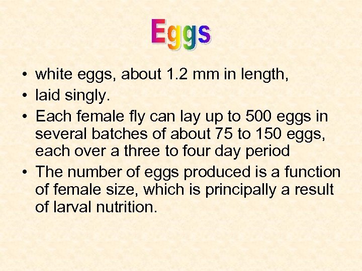  • white eggs, about 1. 2 mm in length, • laid singly. •