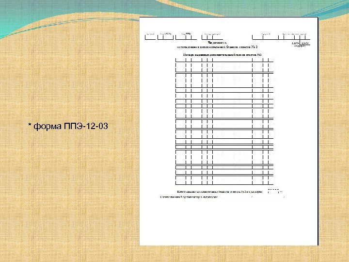 * форма ППЭ-12 -03 