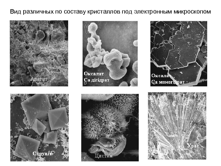Вид различных по составу кристаллов под электронным микроскопом 