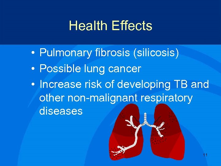 Health Effects • Pulmonary fibrosis (silicosis) • Possible lung cancer • Increase risk of
