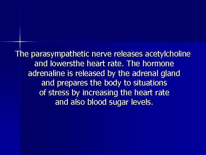The parasympathetic nerve releases acetylcholine and lowersthe heart rate. The hormone adrenaline is released