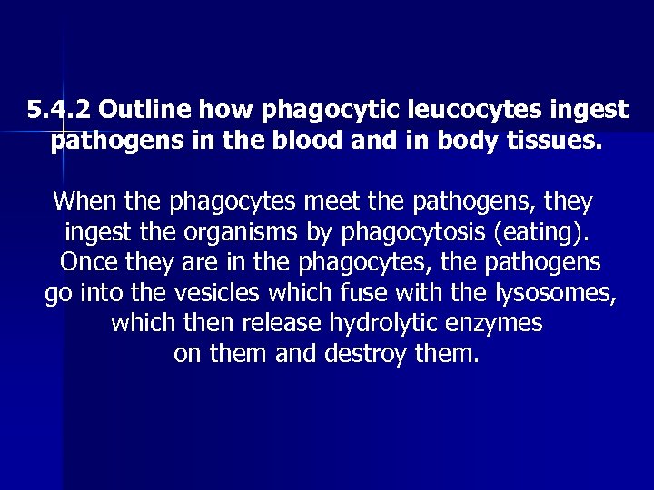 5. 4. 2 Outline how phagocytic leucocytes ingest pathogens in the blood and in