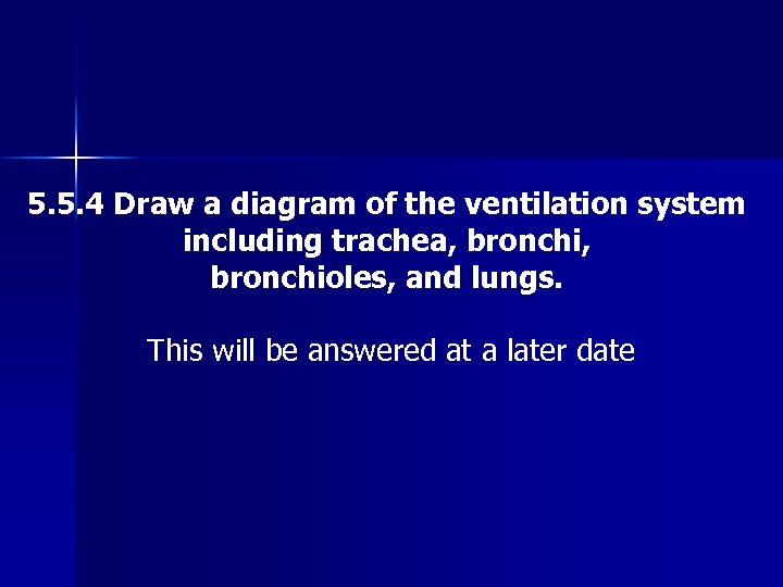 5. 5. 4 Draw a diagram of the ventilation system including trachea, bronchioles, and