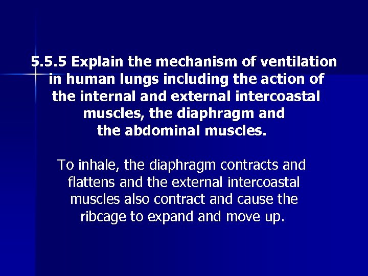 5. 5. 5 Explain the mechanism of ventilation in human lungs including the action