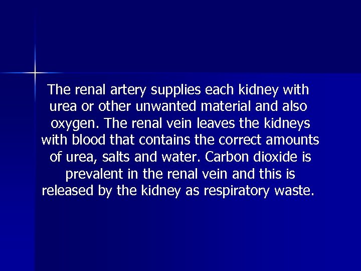 The renal artery supplies each kidney with urea or other unwanted material and also