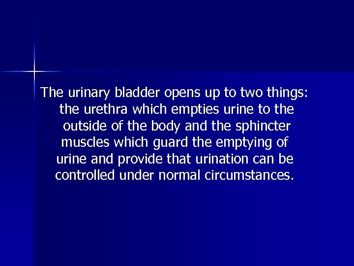 The urinary bladder opens up to two things: the urethra which empties urine to